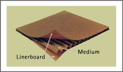 What is Corrugated Cardboard and Why is it Essential for Shipping